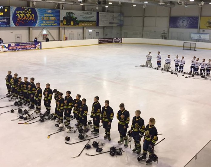 Шершні. Фото Шершні. Фото