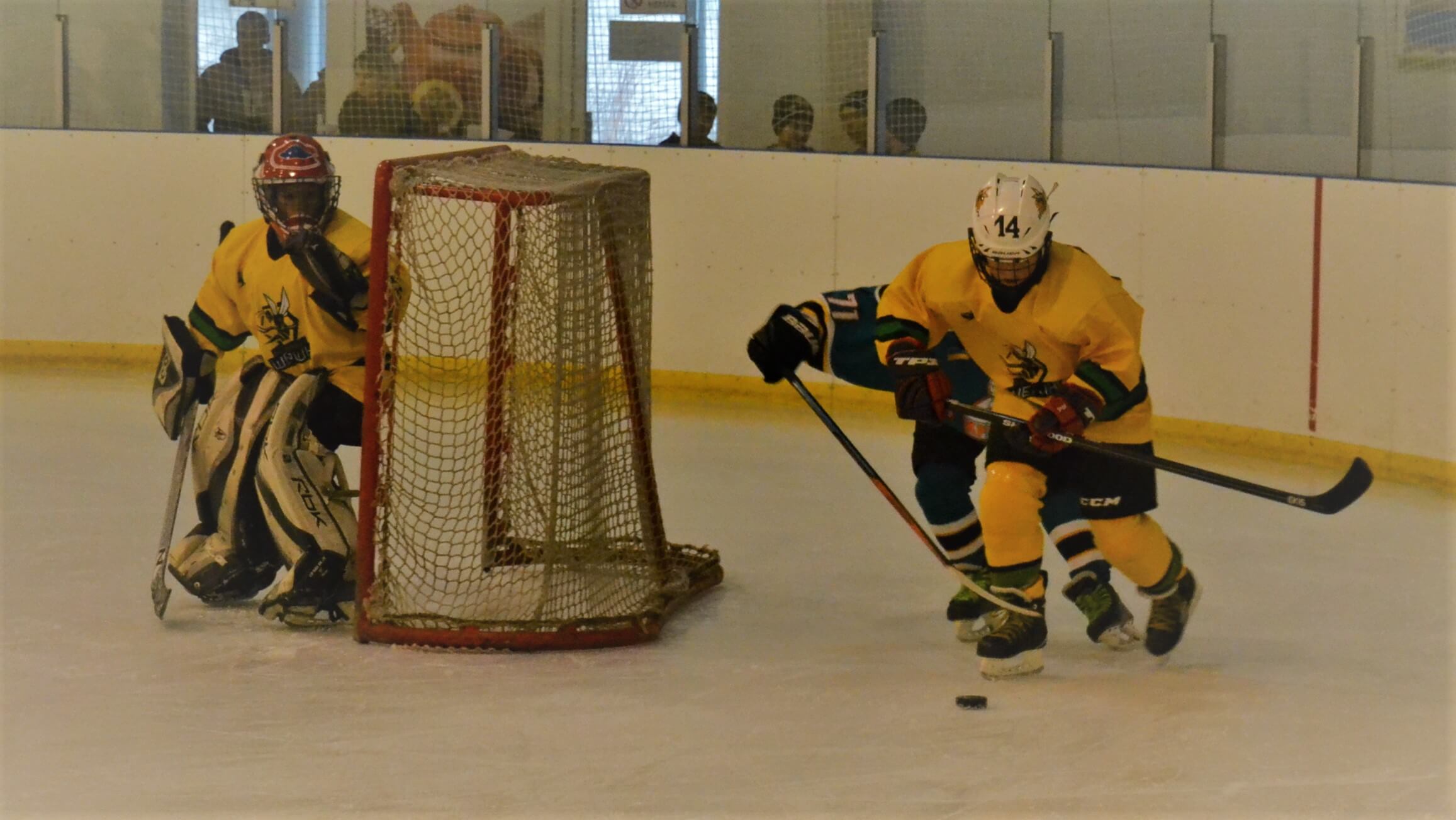  Чемпіонат Києва з хокею, Льодограй