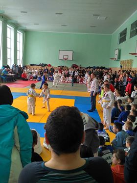 Дзюдо, Боярка. Фото