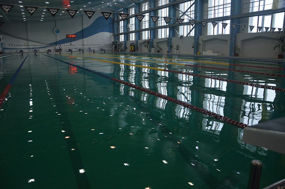 Чемпіонат Київщини з плавання, Бровари. Фото
