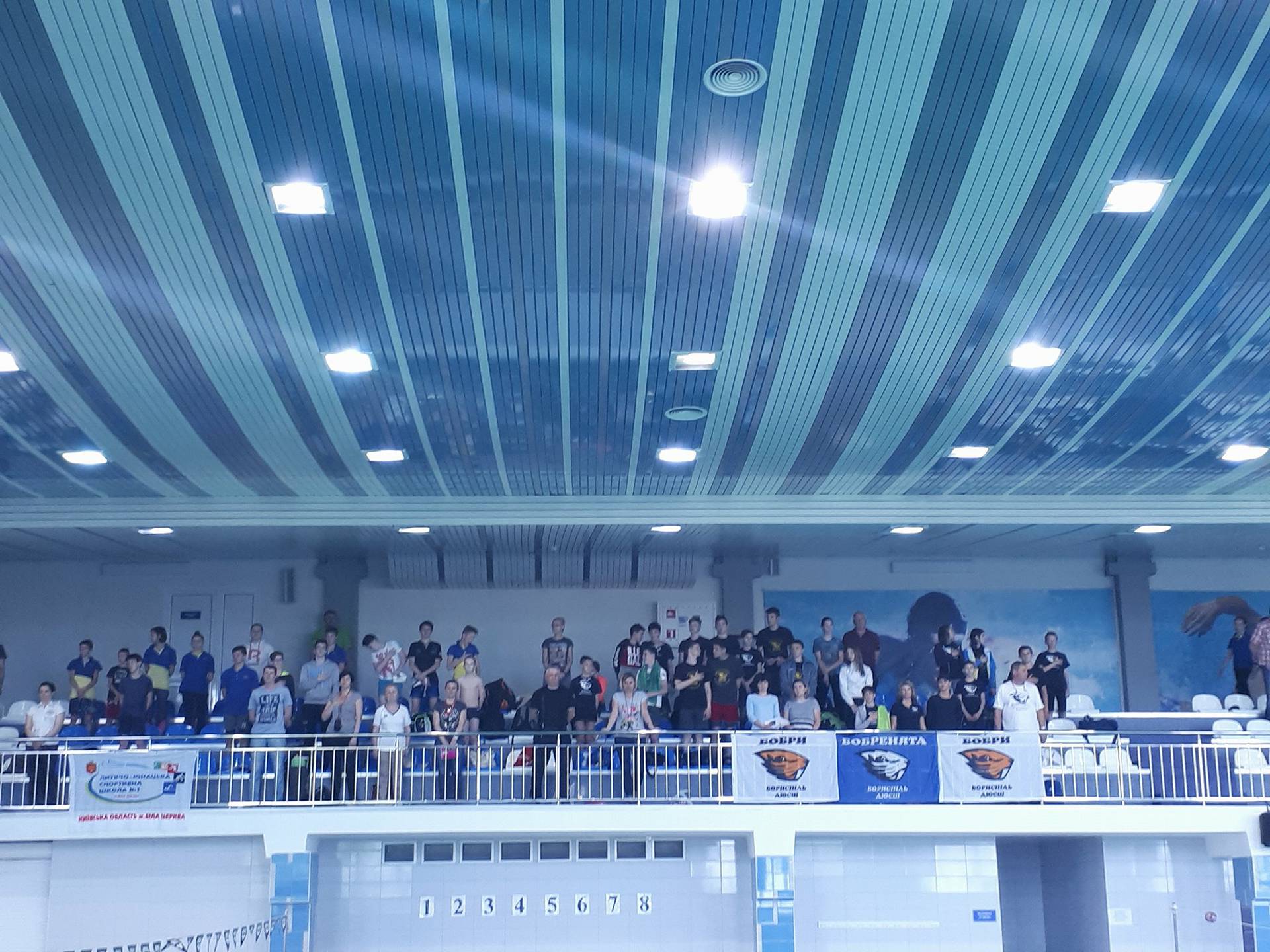 Чемпіонат Київської області з плавання, Бровари. Фото