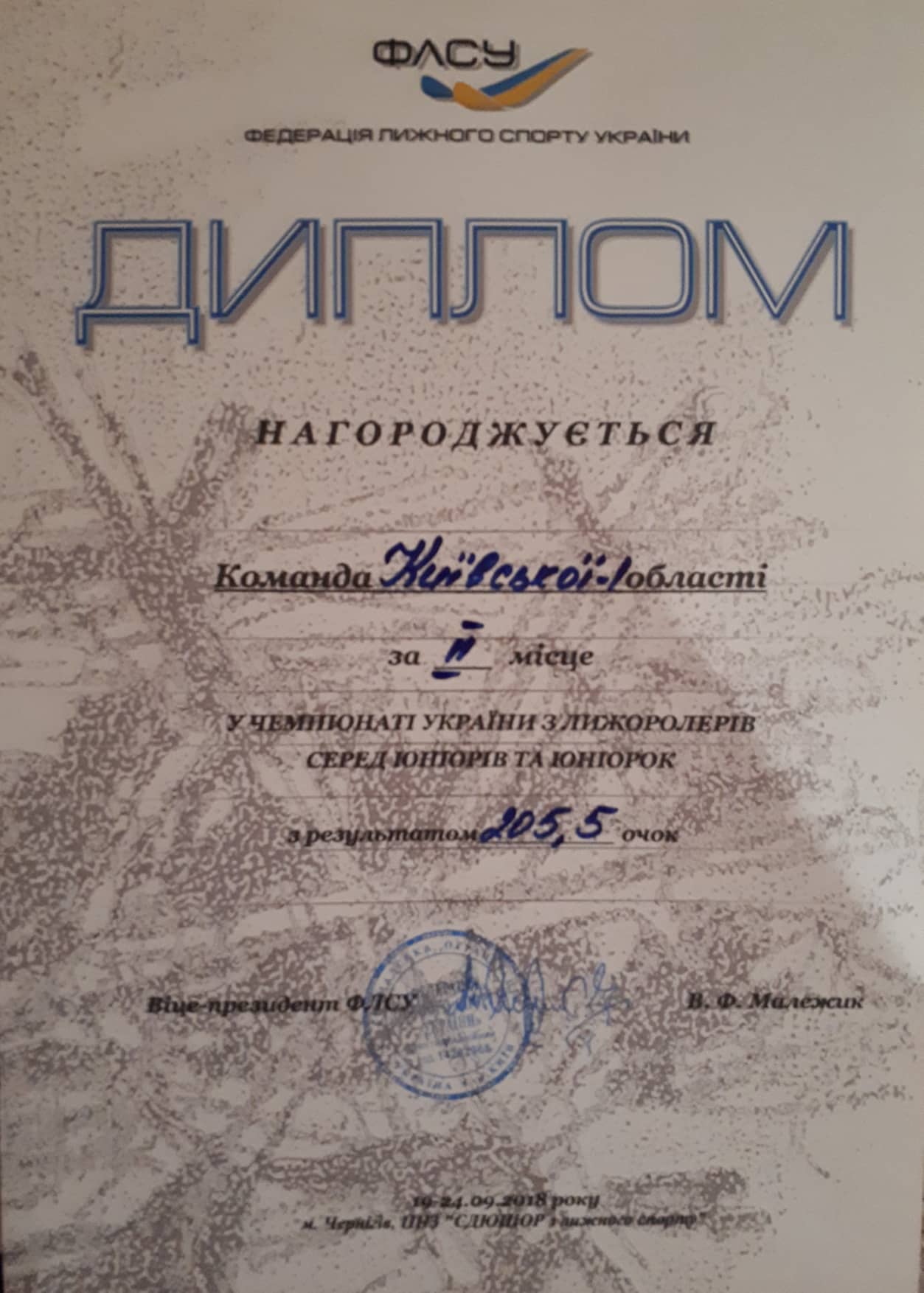 чемпіонат України з лижоролерів. фото