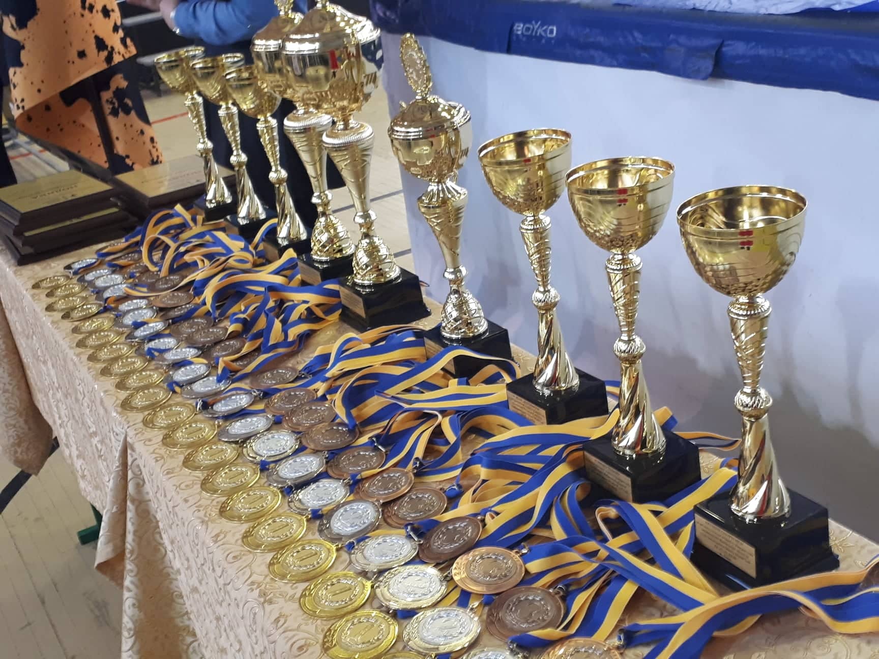 Чемпіонат Київщини з таїландського боксу Муей Тай. Фото