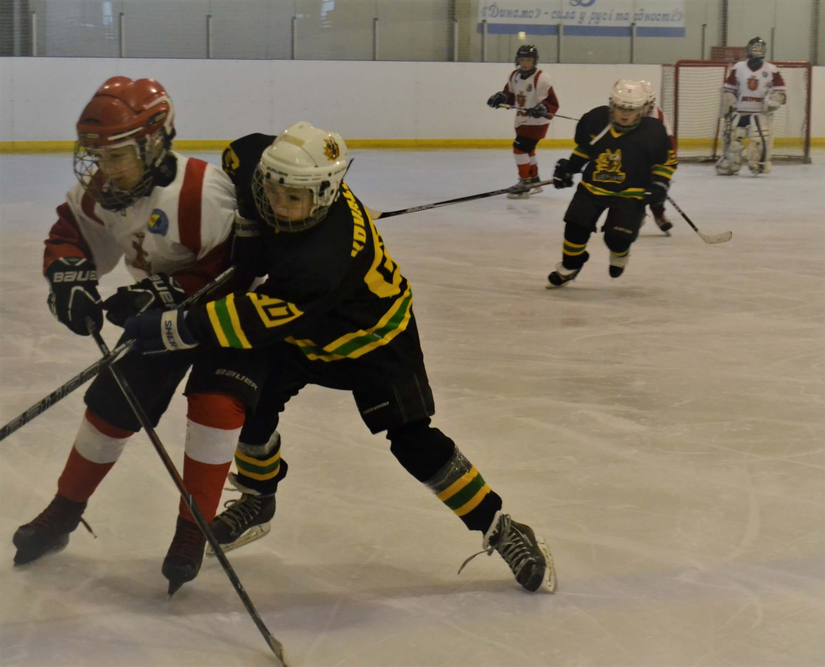  Чемпіонат Києва з хокею, Богуслав