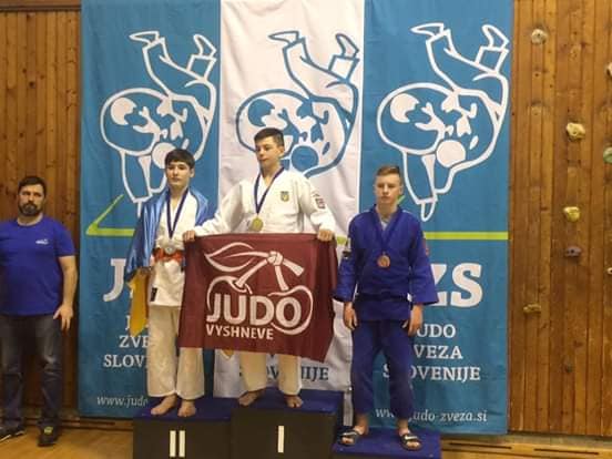 Міжнародний дитячий турнір з дзюдо, Словенія. Фото