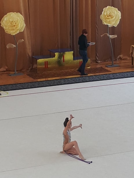 Чемпіонат з художньої гімнастики Олександрія. Фото
