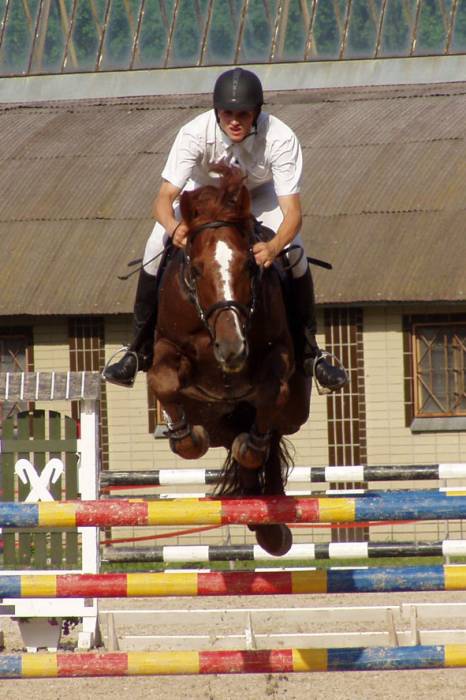 2-й етап Кубку світу з кінного спорту, Греція. Фото