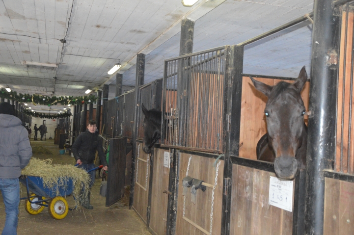 Кінний клуб «Дергачов». Фото