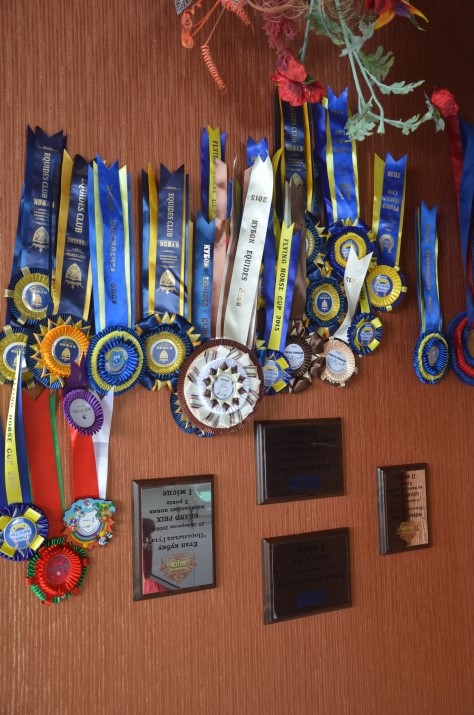 Кінний клуб «Дергачов». Фото