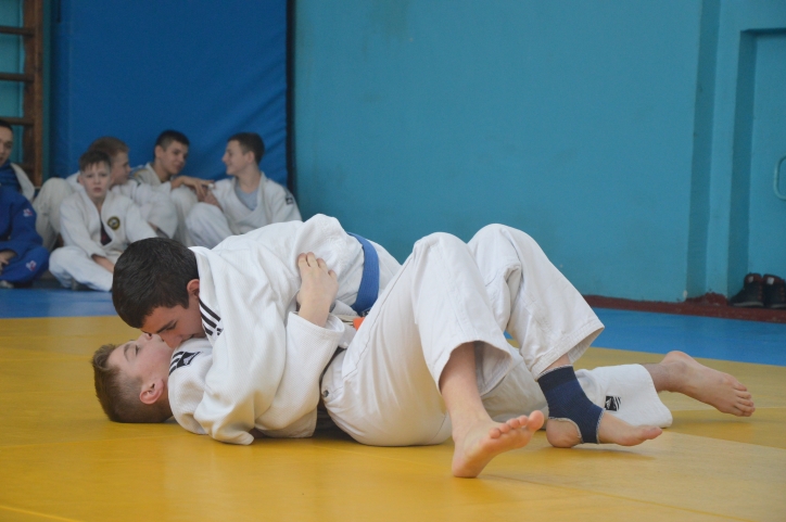 Чемпіонат Київської області з дзюдо, Васильків. Фото