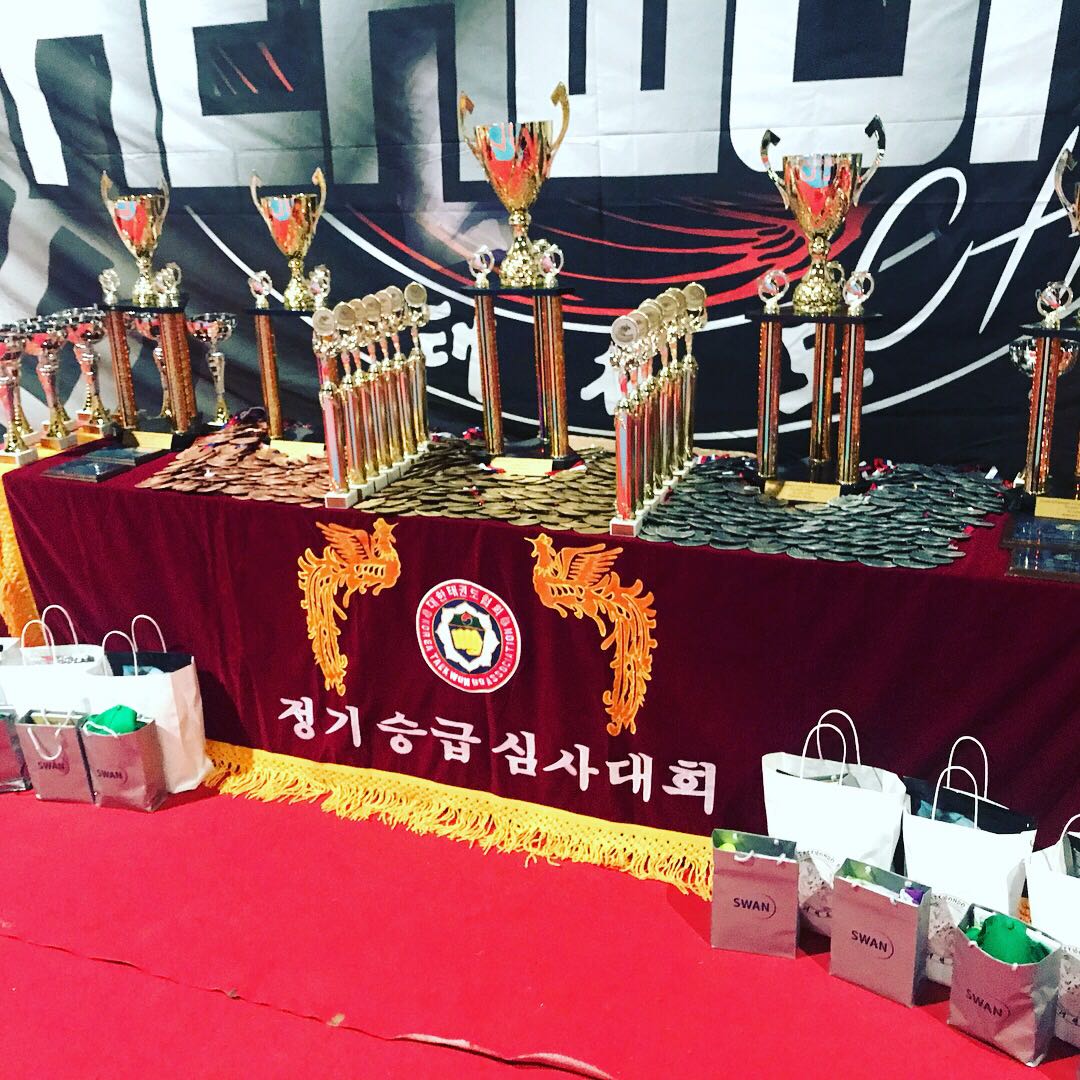 Кубок з тхеквондо, Словаччина. Фото