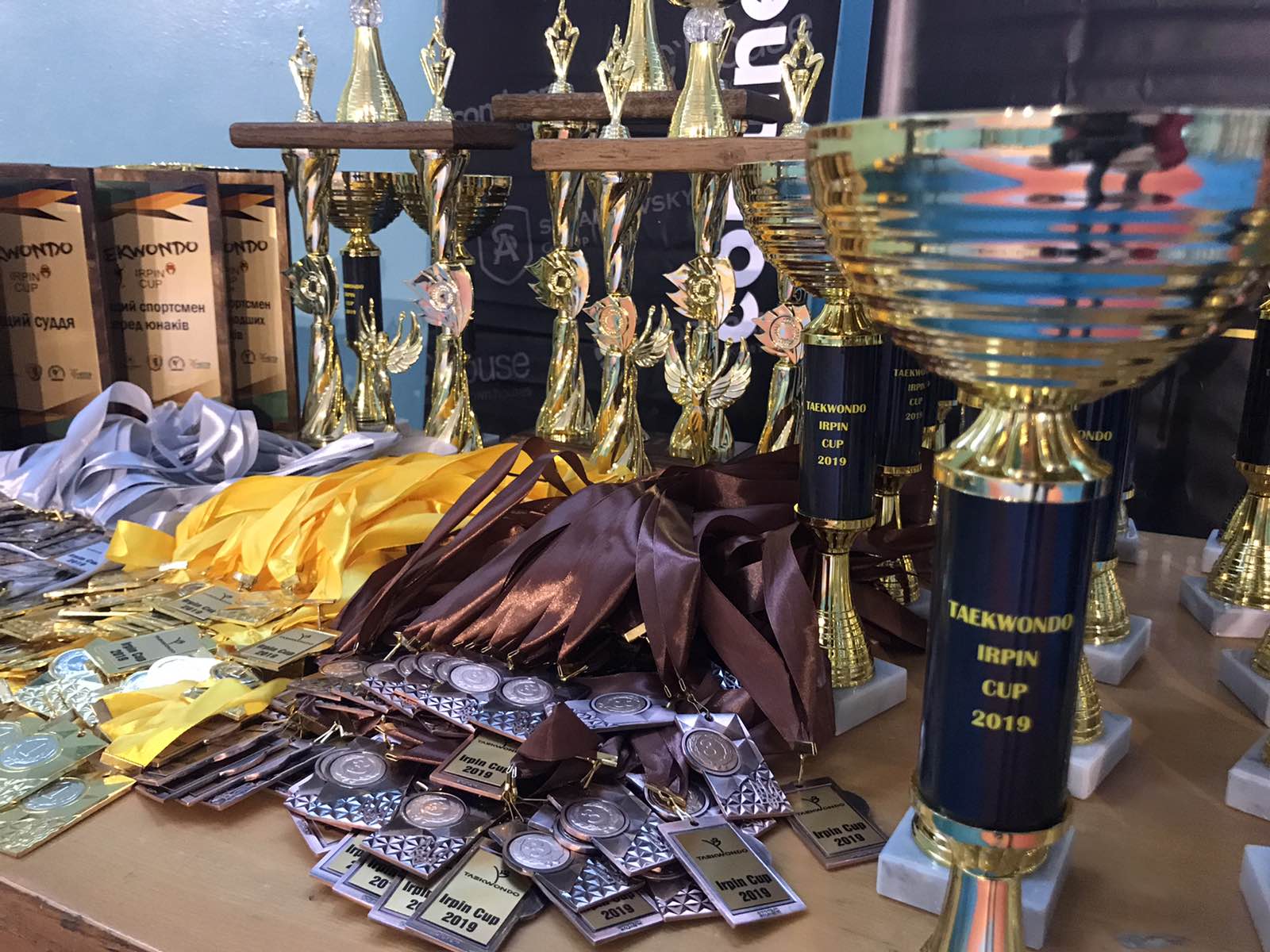 Кубок міста Ірпінь з тхеквондо. Фото